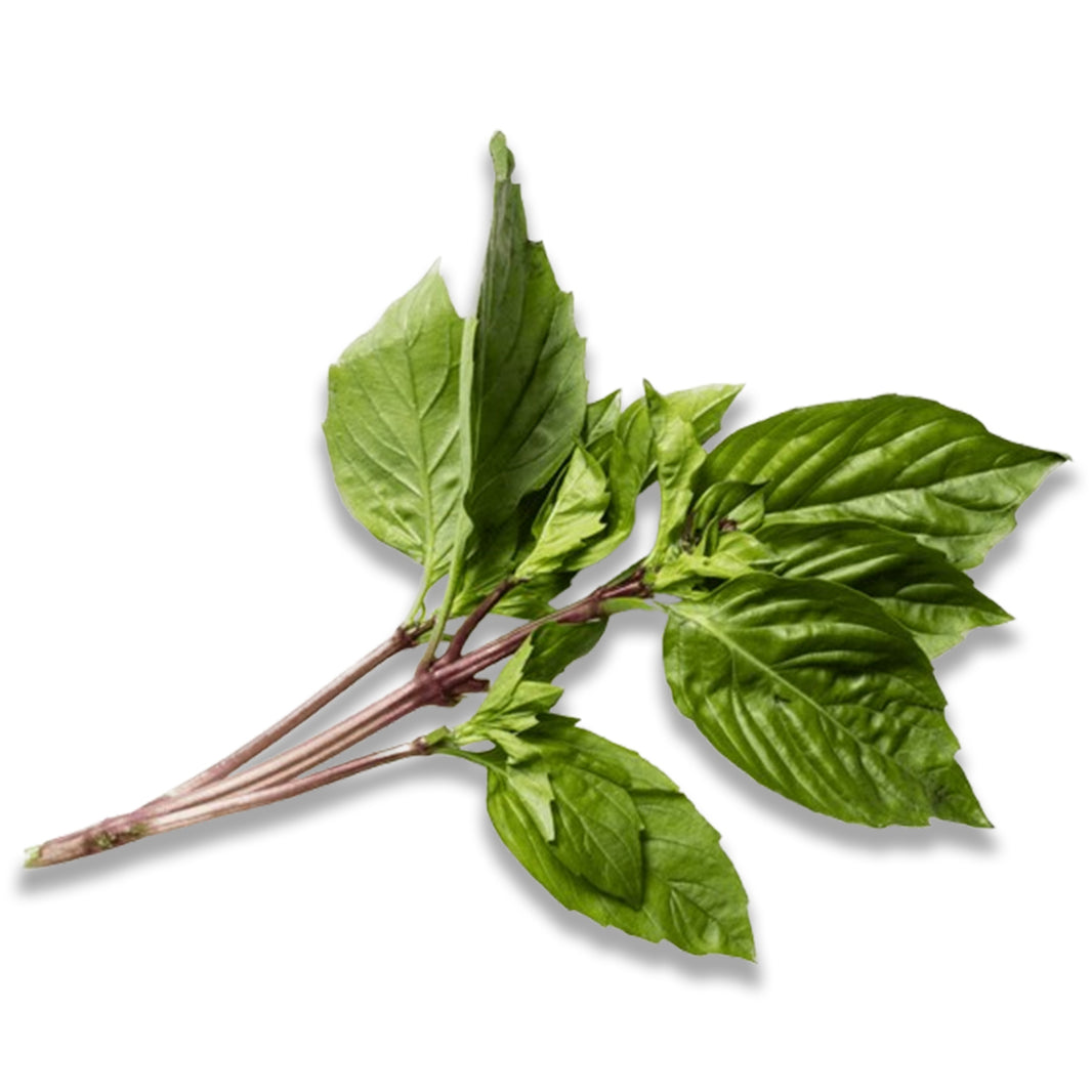 THAI BASIL-1LB Bag | Asian Mart LLC