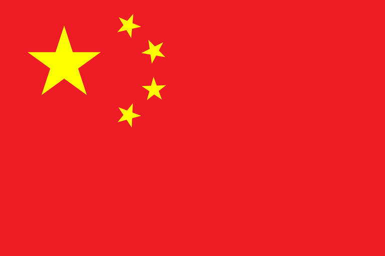 CHINESE FOOD