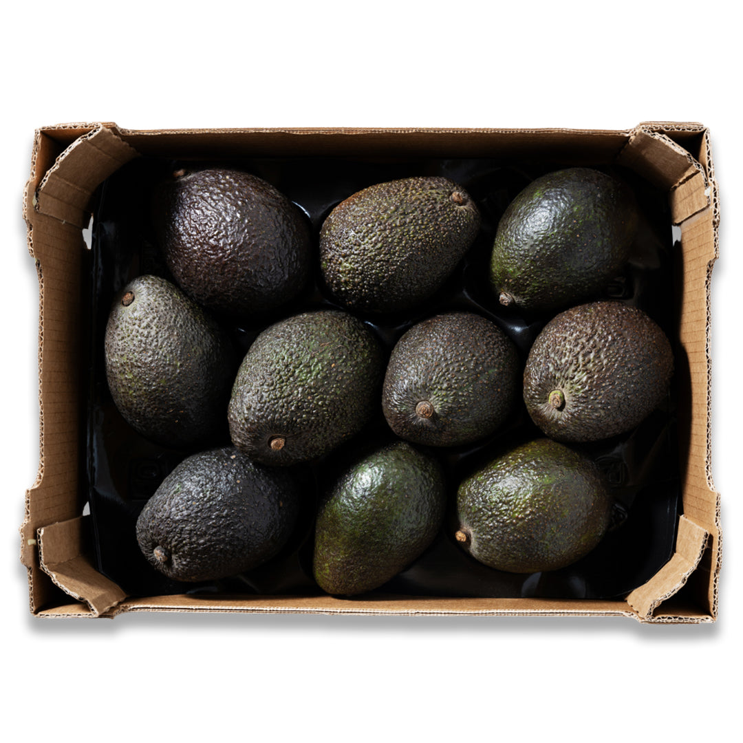 AVOCADO CASE - 32 Counts | Asian Mart LLC