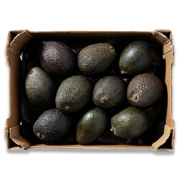 AVOCADO CASE - 48 Counts