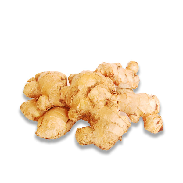 GINGER 1 Case 25LB