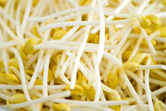 SOYBEAN SPROUT Asian Mart LLC