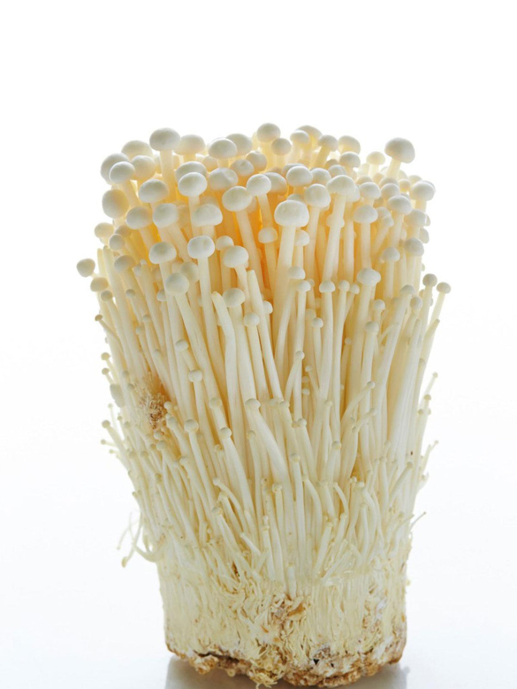 ENOKI MUSHROOM Asian Mart LLC