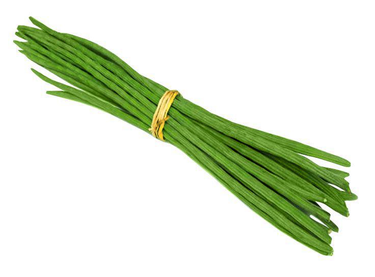 FRESH DRUMSTICK (MORINGA) Asian Mart LLC