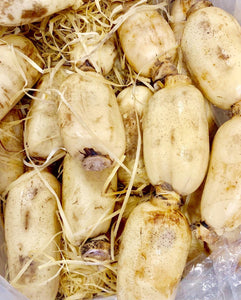 LOTUS ROOT Asian Mart LLC